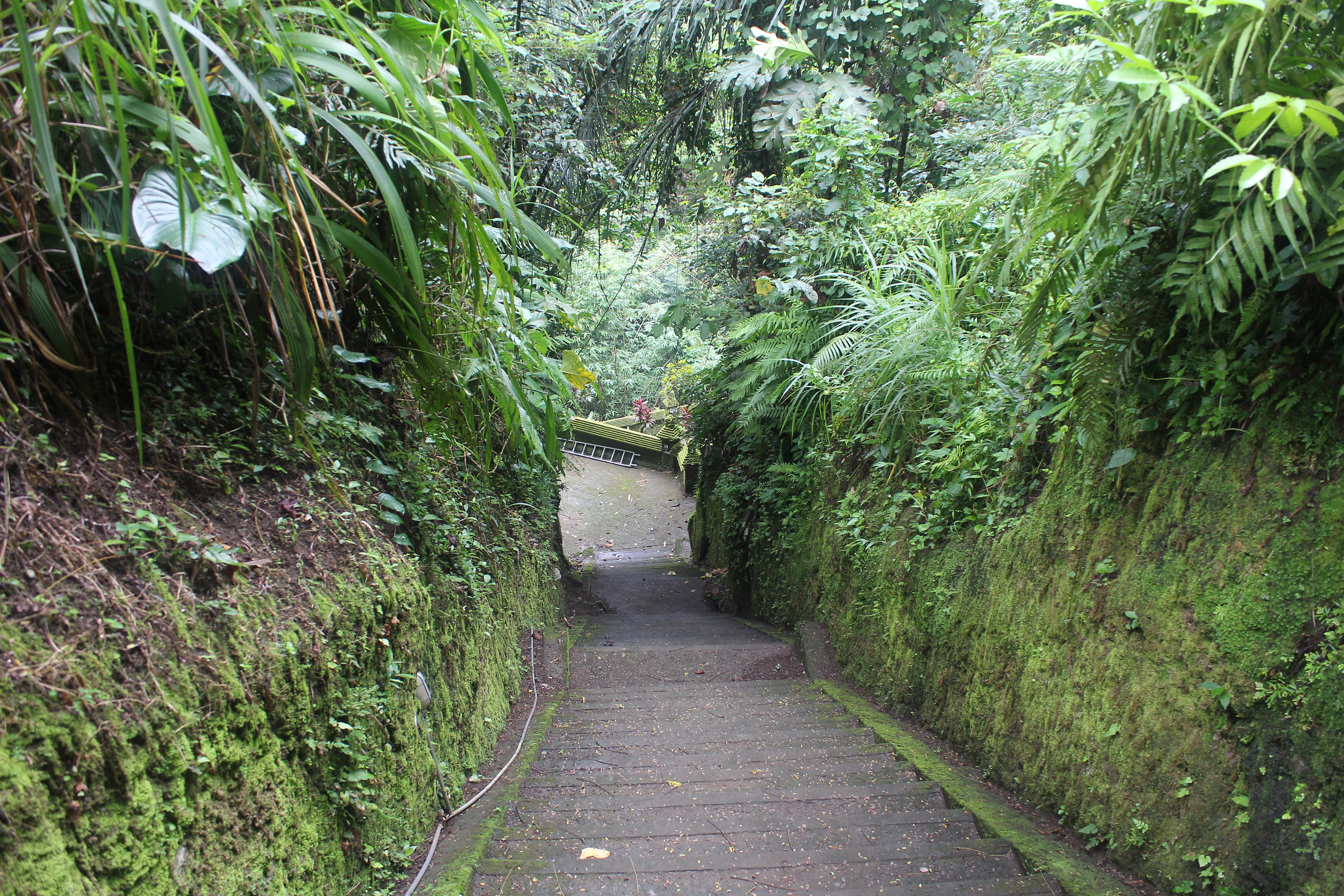 Stairs leading down steeply, with lichen-covered walls on both sides