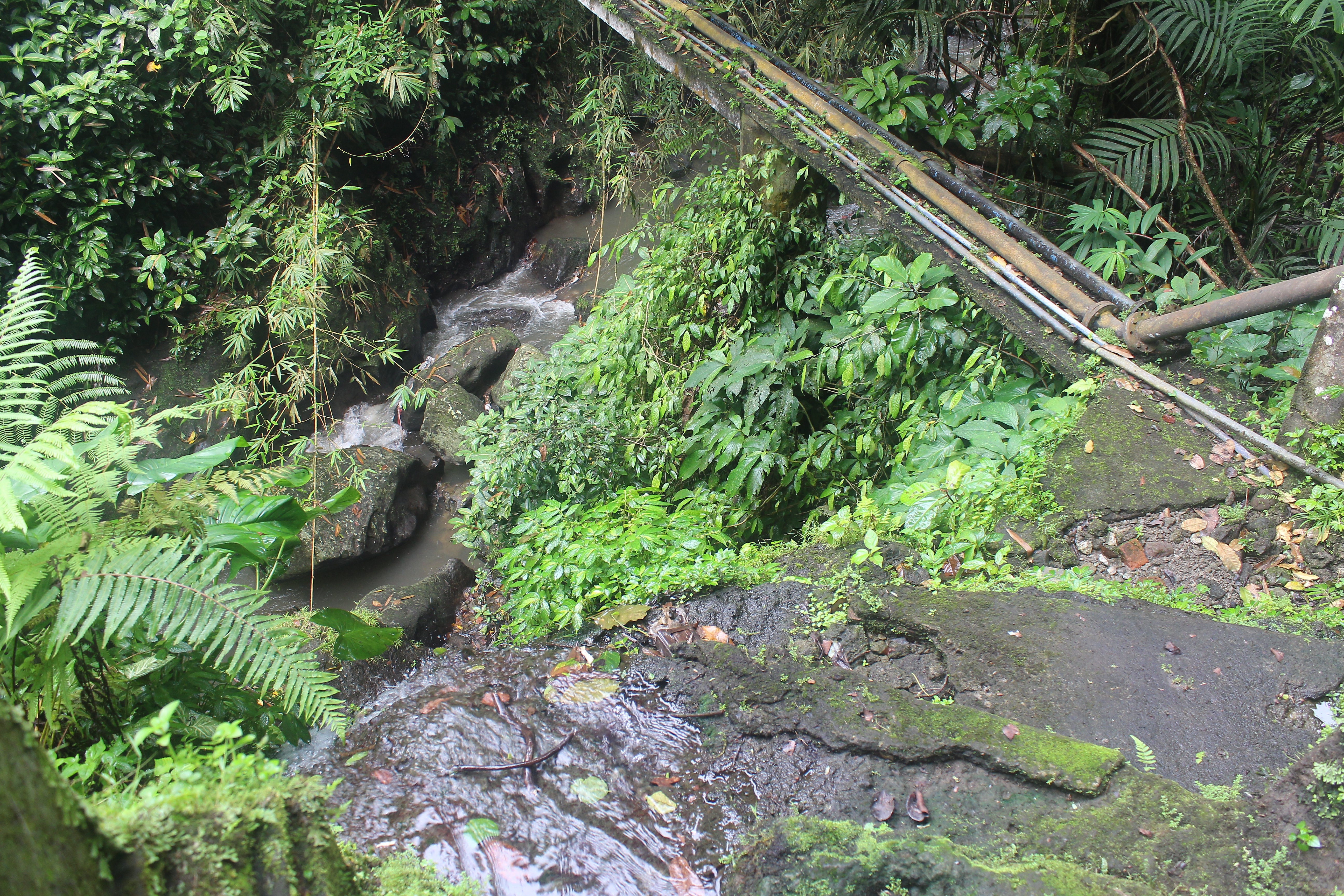 Waterfall top, looking down towards a ravine