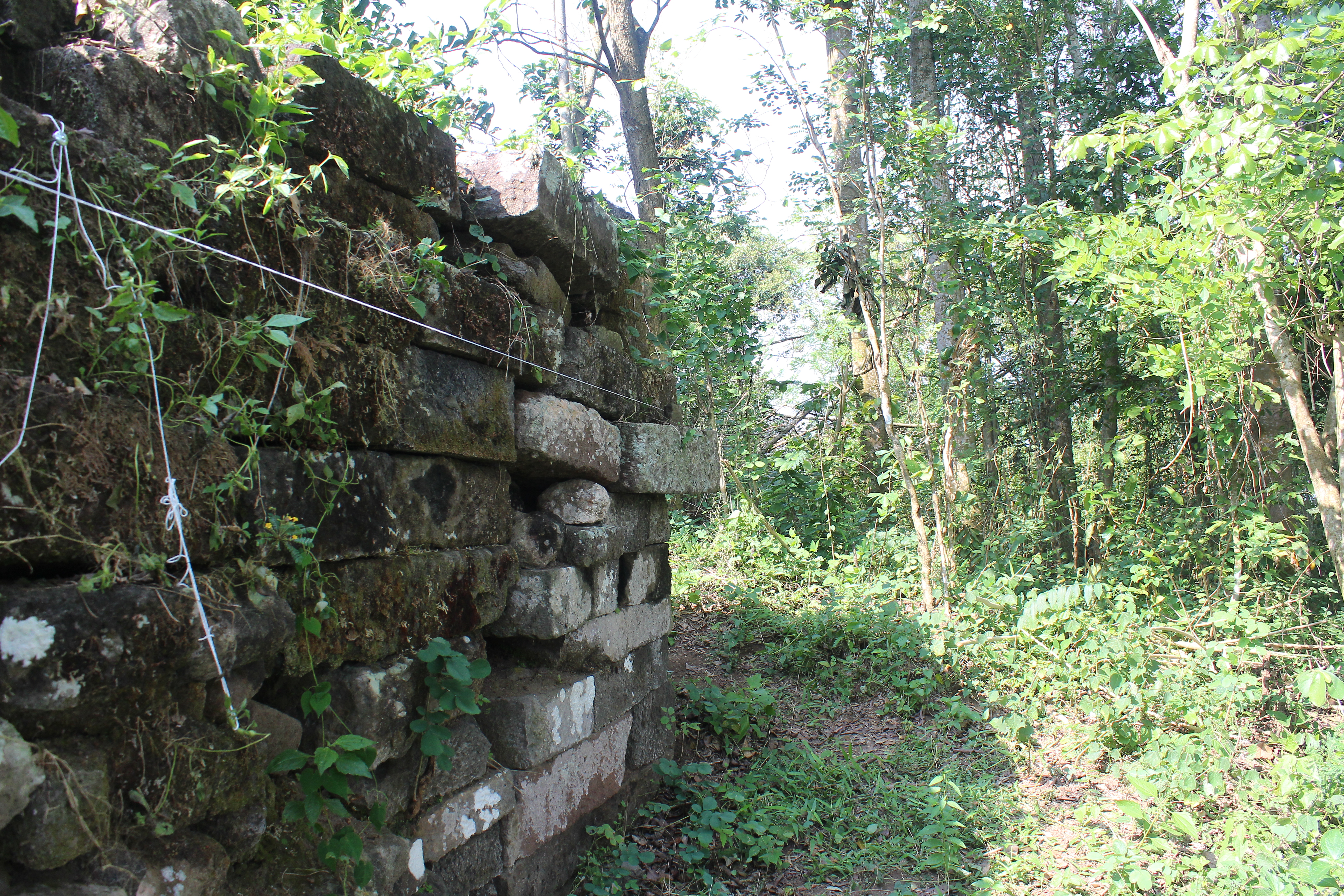 Corner of a wall on a forested mountain