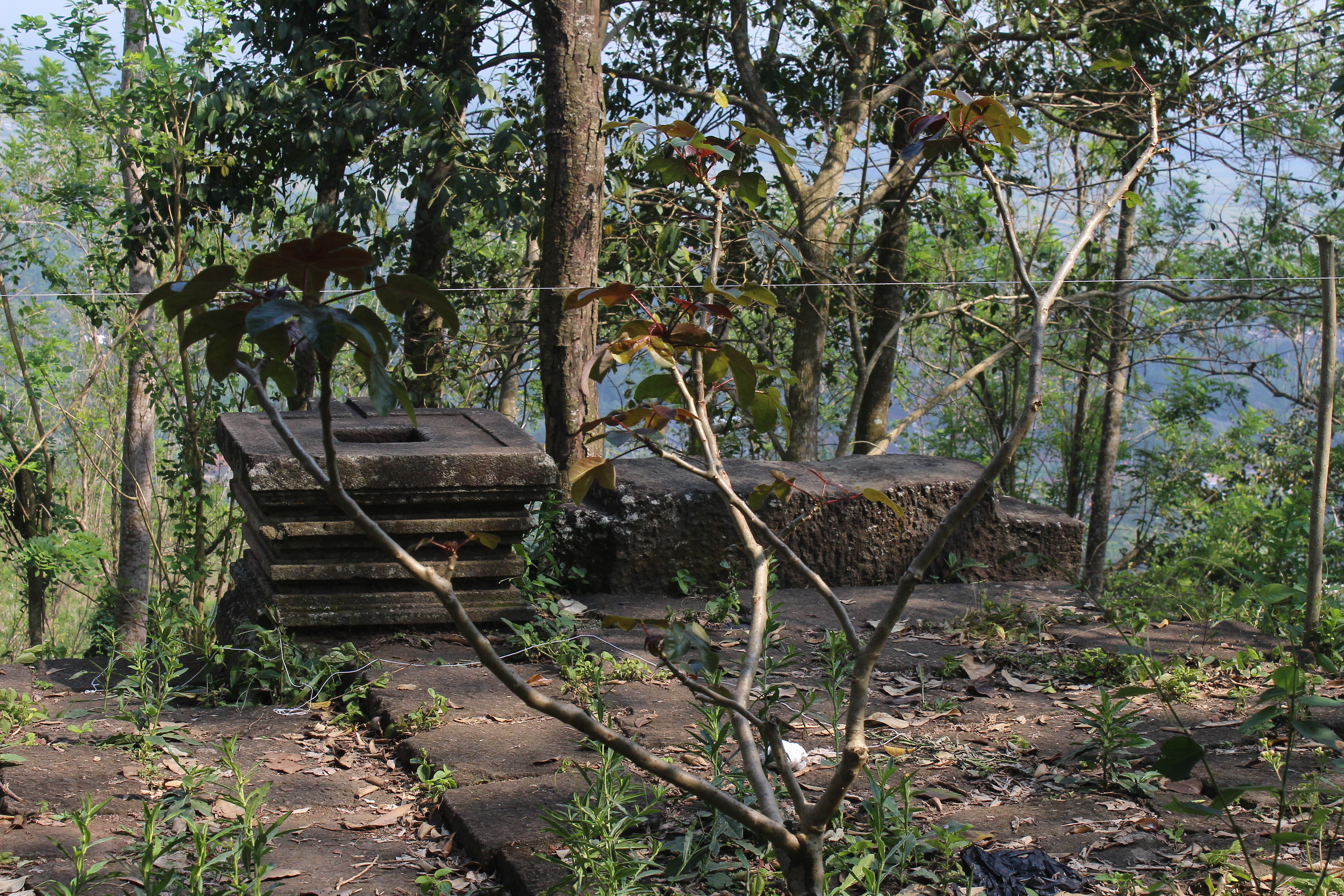 Remains of a shrine in densely forested mountaintop