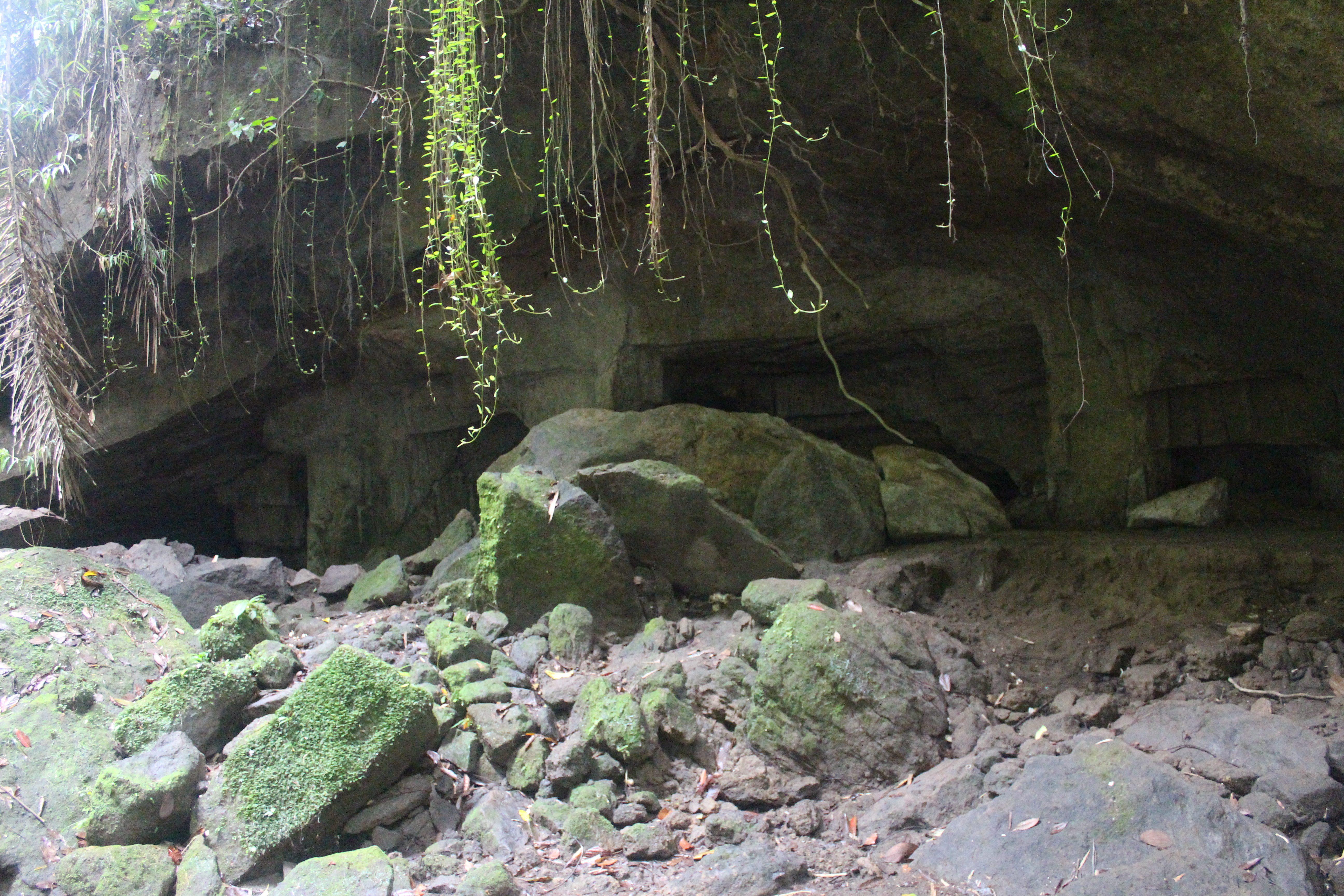 Caves beside a river ravine