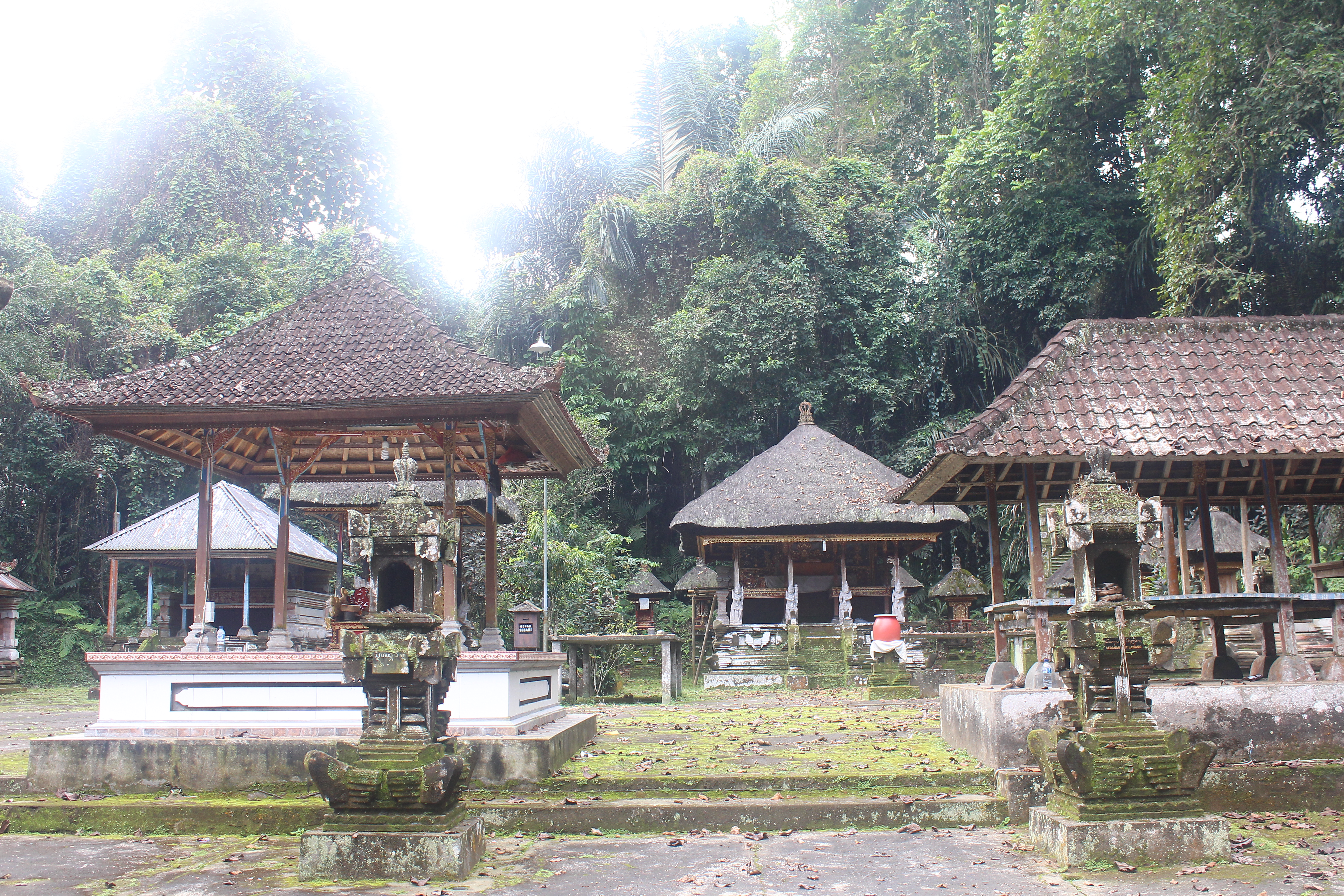 Overgrown temple complex