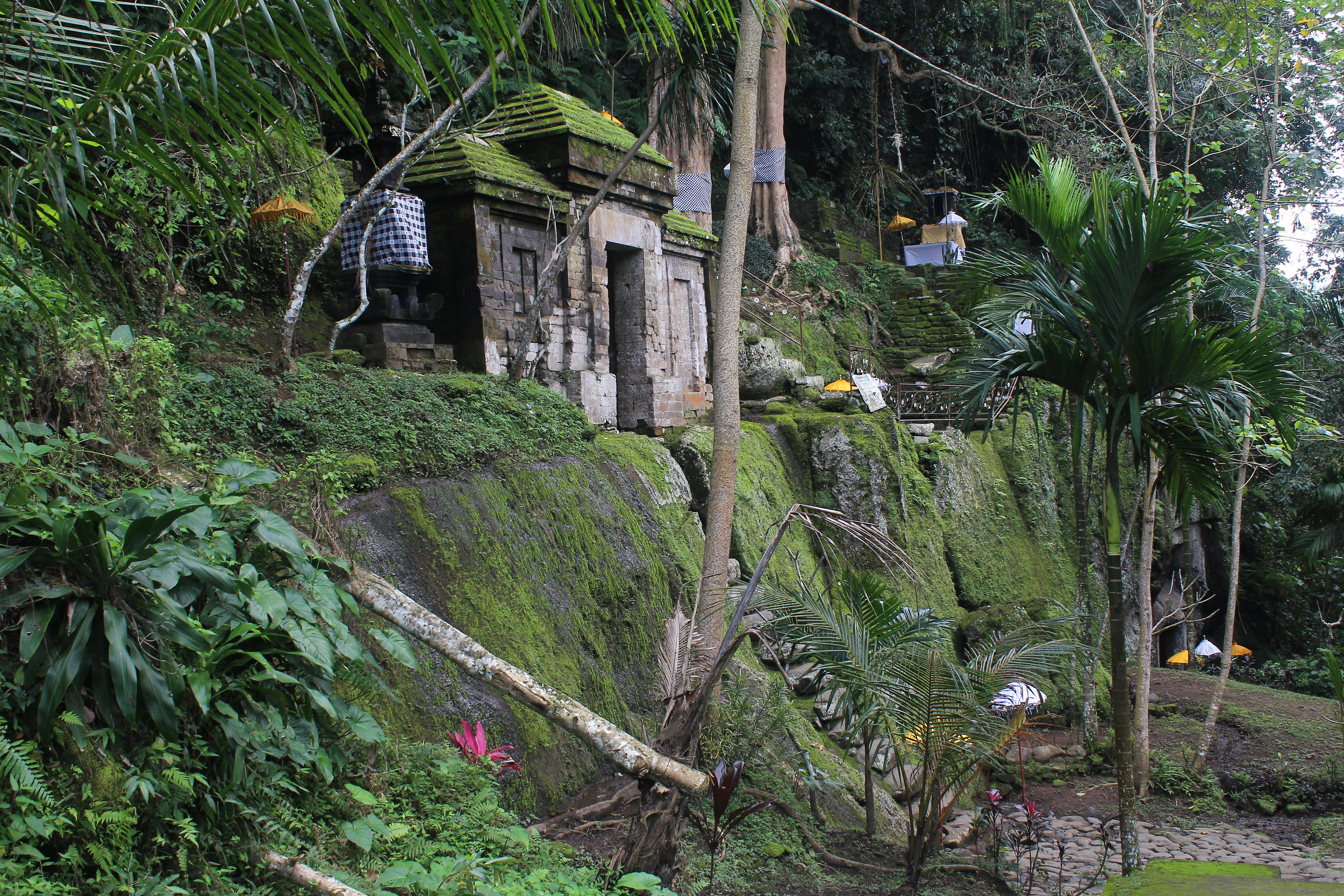 In the jungle, a flight of rock-cut stairs leading up to a gate and shrine complex, with yellow and white umbrellas
